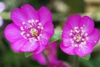 「乾谈时尚」现实生活说说心情句子，经典短句，送给爱而不得的你