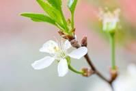 「乾谈时尚」心里好压抑好想哭的句子，经典透彻，送给心情失落的人