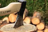 「亭亭墨子」送给五十岁后的你：要独立老，不要孤独老