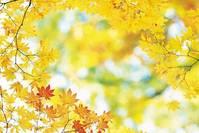 讲时尚的佑彤@震撼人心的经典句子，精致文艺，总有一句符合你的心情