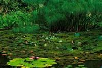 【讲时尚的佑彤】非常走心的说说语录签名，句句很精辟，送给为爱忧伤的你