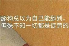【跟着浪迹去恋爱】如何才能不做舔狗？这四个“不要”很重要