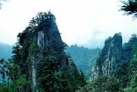 [津榜谈情感]几句触动心灵的句子，句句动人心弦，总有一句符合你的心情