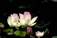 妳的骑士@在最好的年纪，遇见最好的自己