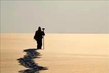 老蒋书房@精辟到噎死人：现实社会语录，句句道尽人性