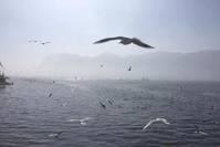 龙乡记忆@人生的四个阶段，你走过了几个