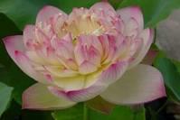 道与欢同学：人生，要懂得吃一堑，长一智！