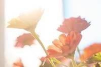 「知心女士」一个人的层次高不高，运气好不好，这两点至关重要！