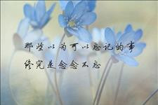 昕月蓝殇美文苑■岁月催人老，不恋过往，不负当下