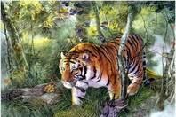 #小事大励志#老年10贵 10点 10养 10不可 10不会 10不交…短而精，必看