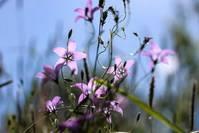 [励志生活事]不是你应该变成谁，而是你本身是谁；早安