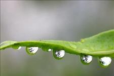 【老蒋书房】70岁的老人提醒我：要想过好后半生，就别在这四个人身上“犯错