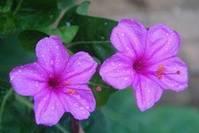 治愈系美女@致自己的哲理句子,读一遍受益终生,令人深思