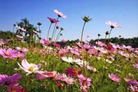 治愈系美女@微信朋友圈简短经典的语录短句,浪漫深情,一见倾心