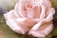 [生活万万千]经典走心的朋友圈说说，句句充满阳光，寓意深远