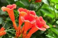 旭日阳光■悟透人生的心灵语录,句句让人受益匪浅,读读感悟人生