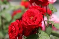 [治愈系美女]让人受益匪浅的句子,简短文艺,独一无二