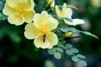 生活万万千■深入人心的句子，过错，是短暂的遗憾；错过，是永久的遗憾