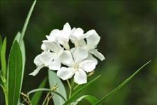 感悟哲理美文：人生过半，回头看看