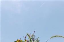 活色生香蓝静颜@最坏的习惯是苛安于当下的生活，不知道明天的方向