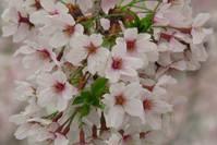 「瞎闹闹」你，要怎样度过这一生