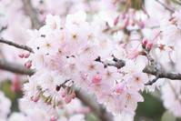 「瞎闹闹」人生两件事最难得：一是知足，二是感恩