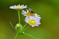 #感悟励志美文#言之美，美在真；人之美，美在善