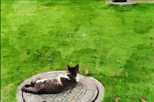 「邳州图话」我将思念挂在月亮上