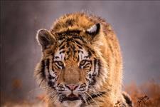 「我们爱教育」怎样才能看透一个人内心的想法？