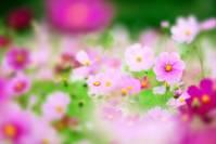 [娱乐娴雅]暖心甜蜜的爱情说说，句句很真实，读完让人泪目