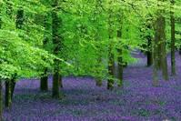 「娱乐娴雅」跟女朋友说的简短情话，简短励志，送给努力的自己