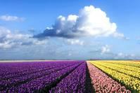 娱乐山槐@简短有哲理的个性签名，句句内涵有深度，看懂活得更明白