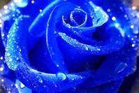 【人生阅历分享】充满阳光的经典说说，句句正能量，读读感悟人生