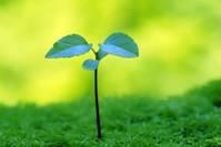 「谈情感的鑫雪」适合晚上发朋友圈的语录，字字诛心，总结的很精辟