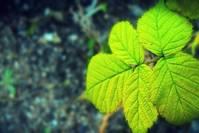 [谈情感的鑫雪]异地恋分手后的伤感说说，句句经典个性，哪一句说到了你的心