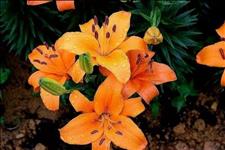 老蒋书房@人生短暂，做人要懂得知足常乐。那么，你的人生处处是幸福！