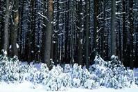 讲娱乐的胜：总结人生的经典句子，句句说心扉，最后一句最精辟