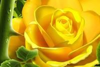 【讲娱乐的胜】朋友圈爱情甜蜜说说，句句都非常走心，送给深夜孤独的人