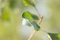 「诗宛搞笑集锦」适合发朋友圈的小短句，简短优美，哪一句说到你心坎上