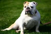 「兔哥影视」朋友圈心累伤感的说说，句句都很在理，让忍不住点赞分享