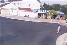 [雪樱谈车]10万骐达转弯，撞了闯红灯男子，斑马线上的一条狗，成鲜明对比