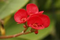 「感悟励志美文」感谢生命中，为我撑伞的人！