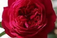 风雨人生感悟：交朋友，不一定要有钱有势，但一定要交有情有义的！