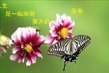 笔墨流长■人生，是一幅渐渐展开的画卷