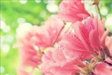 [佳作有约]路，要靠自己走！