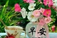 [子衿悠悠]最新版早晨问候朋友暖心句子 幸福暖心的早上好动态美图送给大家