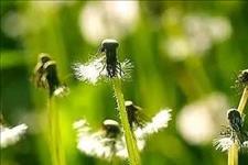 老蒋书房@入了心的人，值得一辈子去珍惜