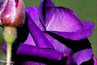 「宇录良言」值得细细品读的感悟短语，精辟有内涵，读懂受用一生