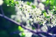 #玉婷爱音悦#心痛到撕心裂肺的说说，句句扣人心弦，让人终生受益