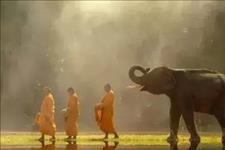 五千年中华文化■人生之苦，苦在执着；人生之难，难在放下!